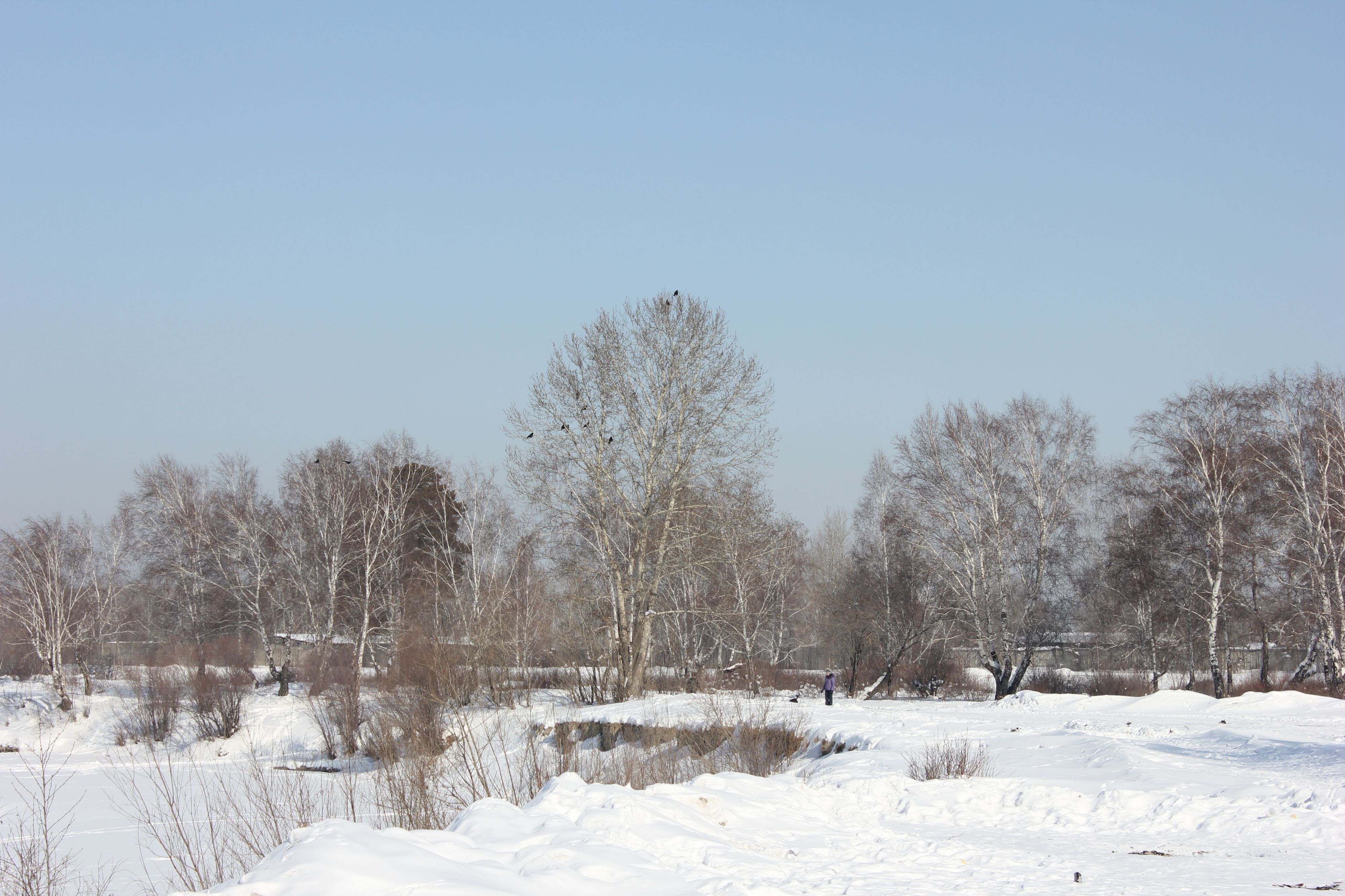 Посвящается Колбасе деловой)))по заказу)))