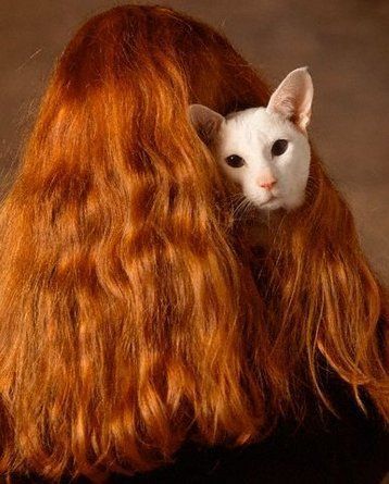 внеочередная рыжая