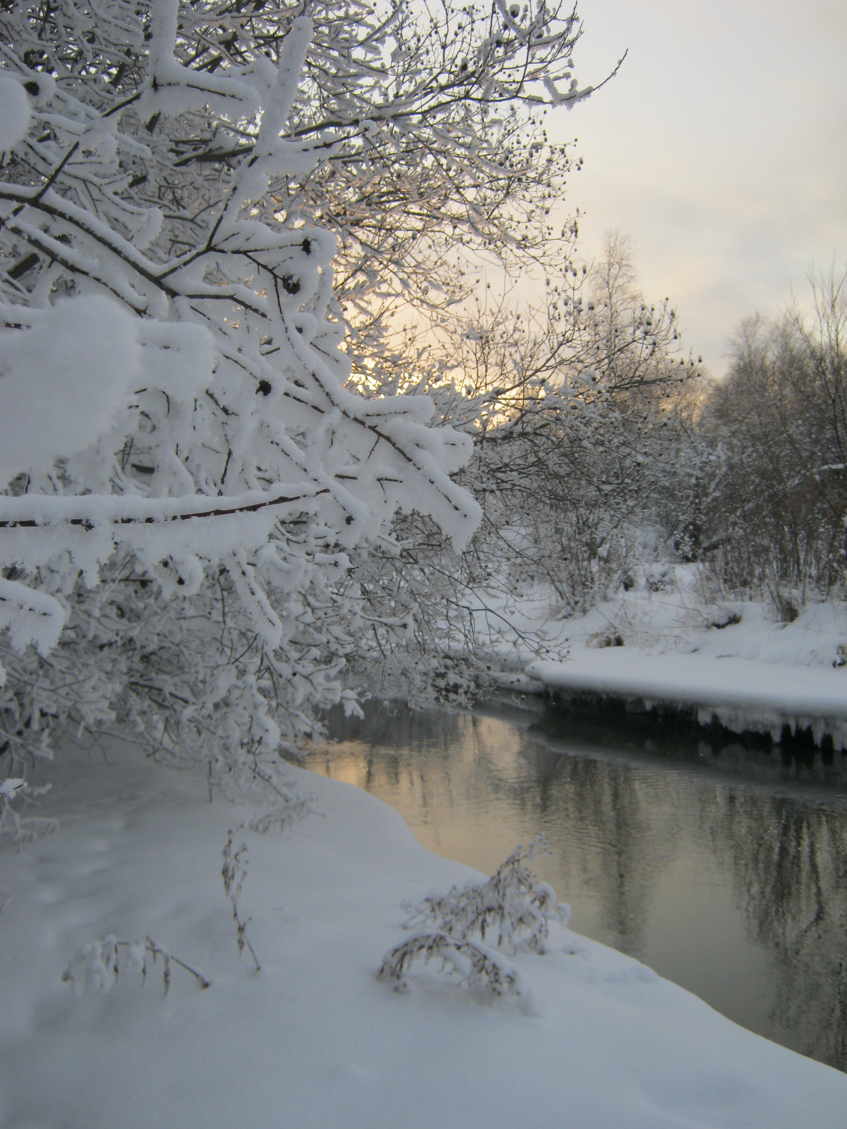 Еловка. Вечер