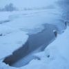 - 35, но Еловка у водокачки ЖА не сдаётся! - 35, но Еловка у водокачки ЖА не сдаётся!