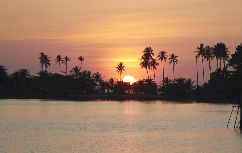Закат над пальмами