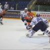 Img 4996 Img 4996