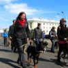 Img 5668