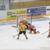 Img 6069 Img 6069