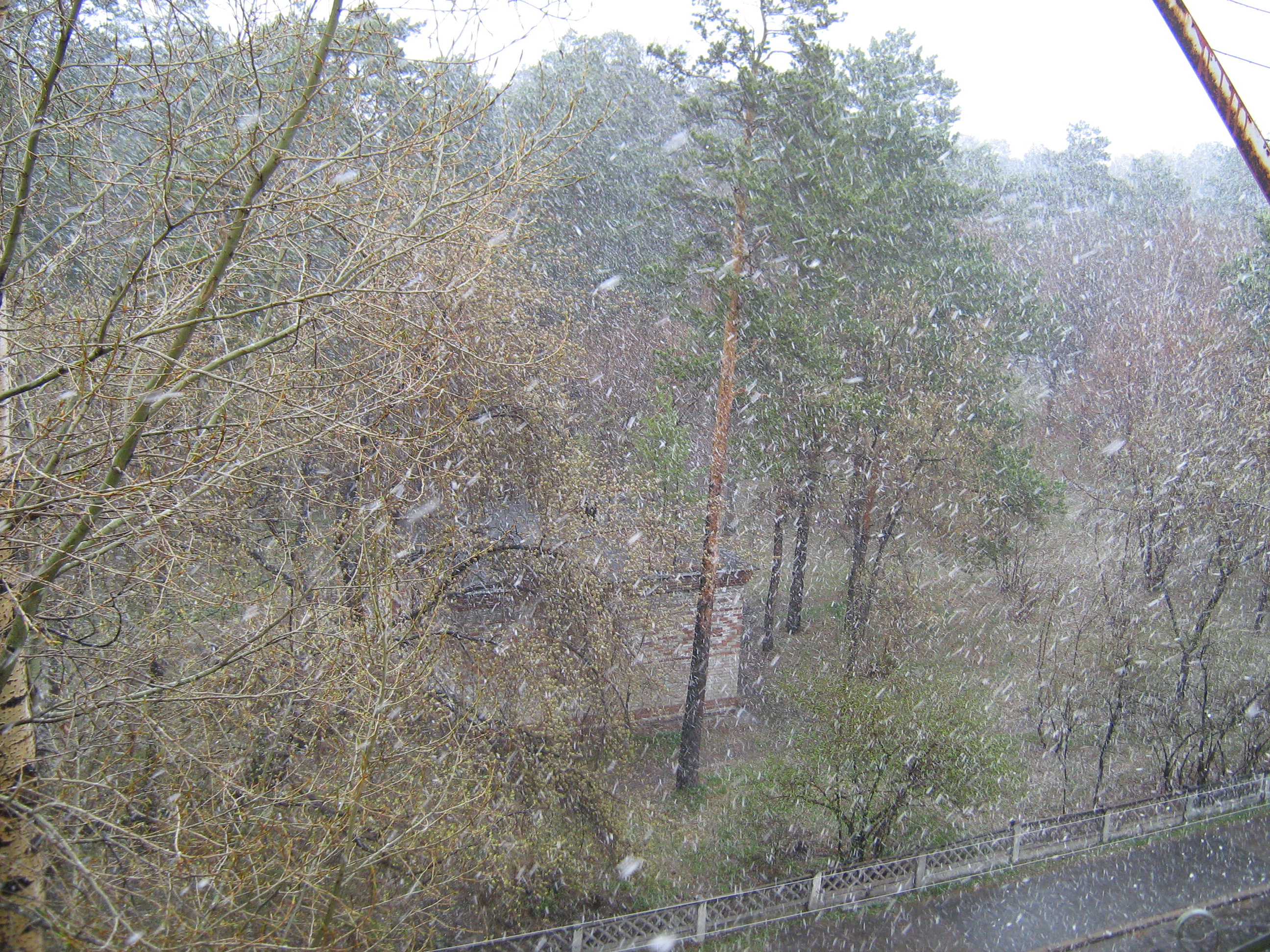 Метель 20 мая