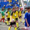 Img 6239 Img 6239