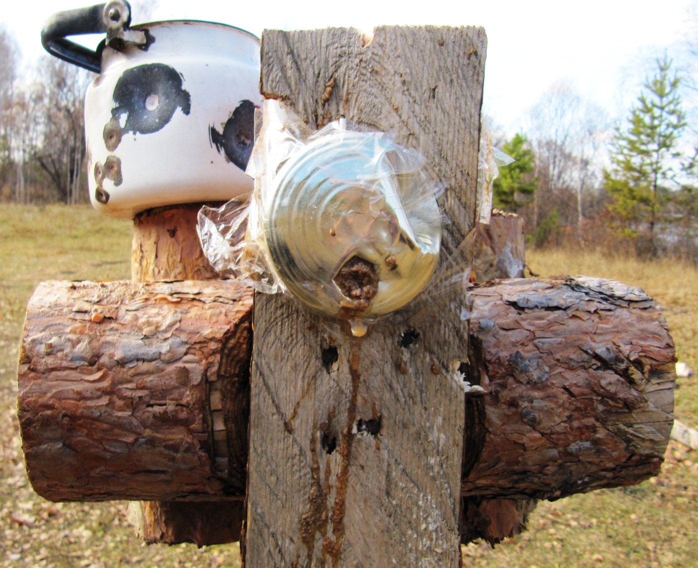 09-10-2011 - День фото ЖА