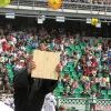 Img 6295 Img 6295