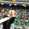 Img 6296 Img 6296