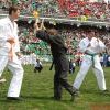Img 6298 Img 6298
