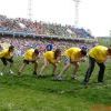 Img 6305 Img 6305