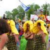 Img 6574 Img 6574