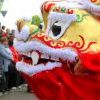 Img 6635 Img 6635