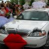 Img 6671 Img 6671