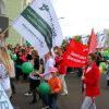 Img 6764 Img 6764