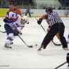 Img 7249