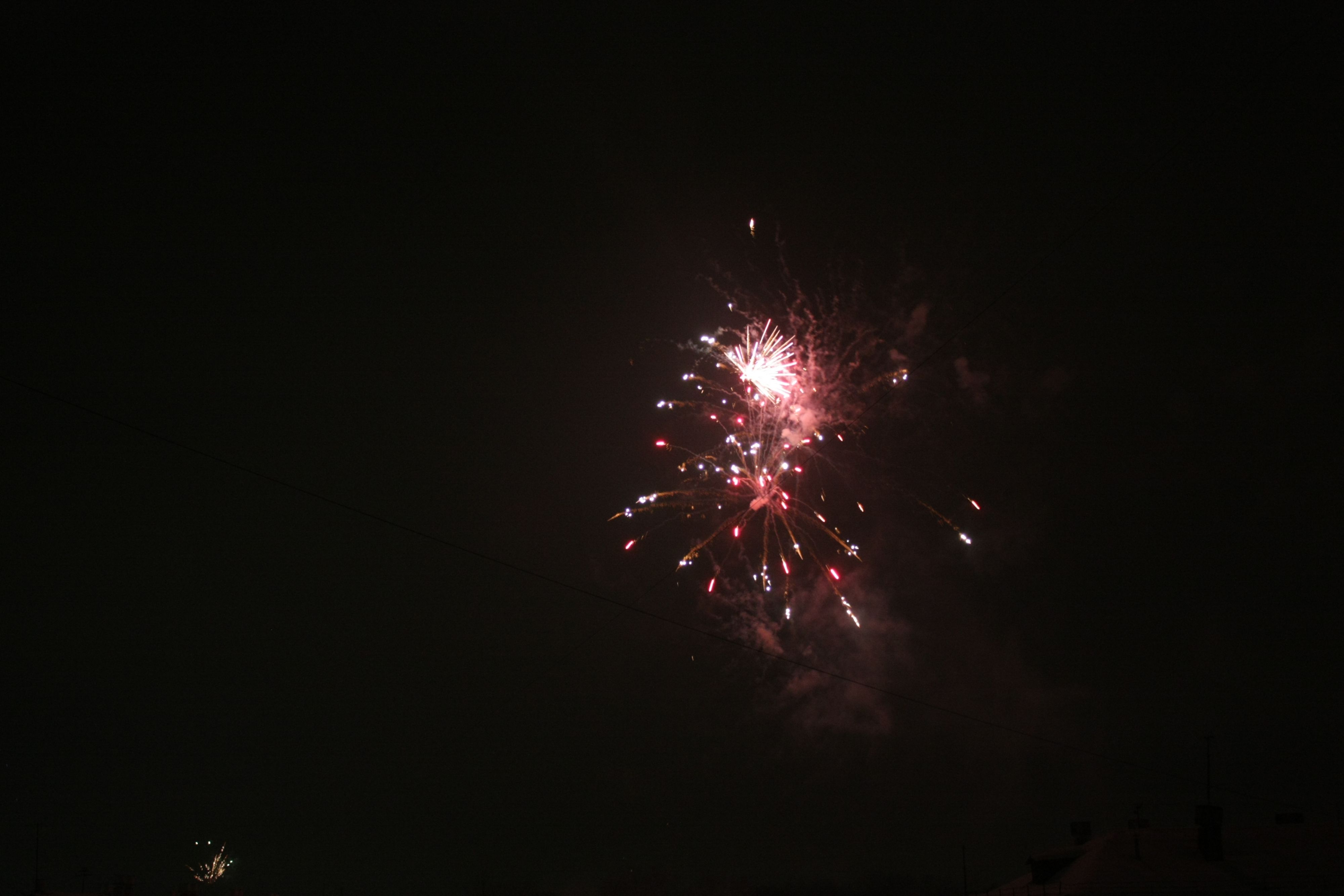 Img 7297