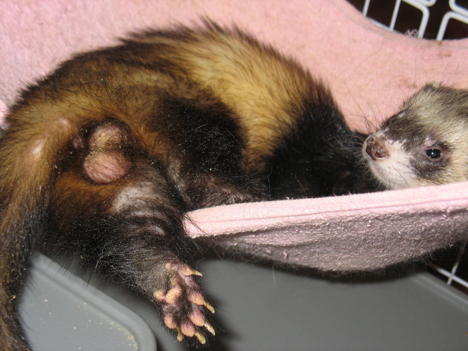 Наше хозяйство!!