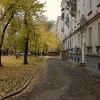 Img 7652
