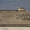 Img 7671