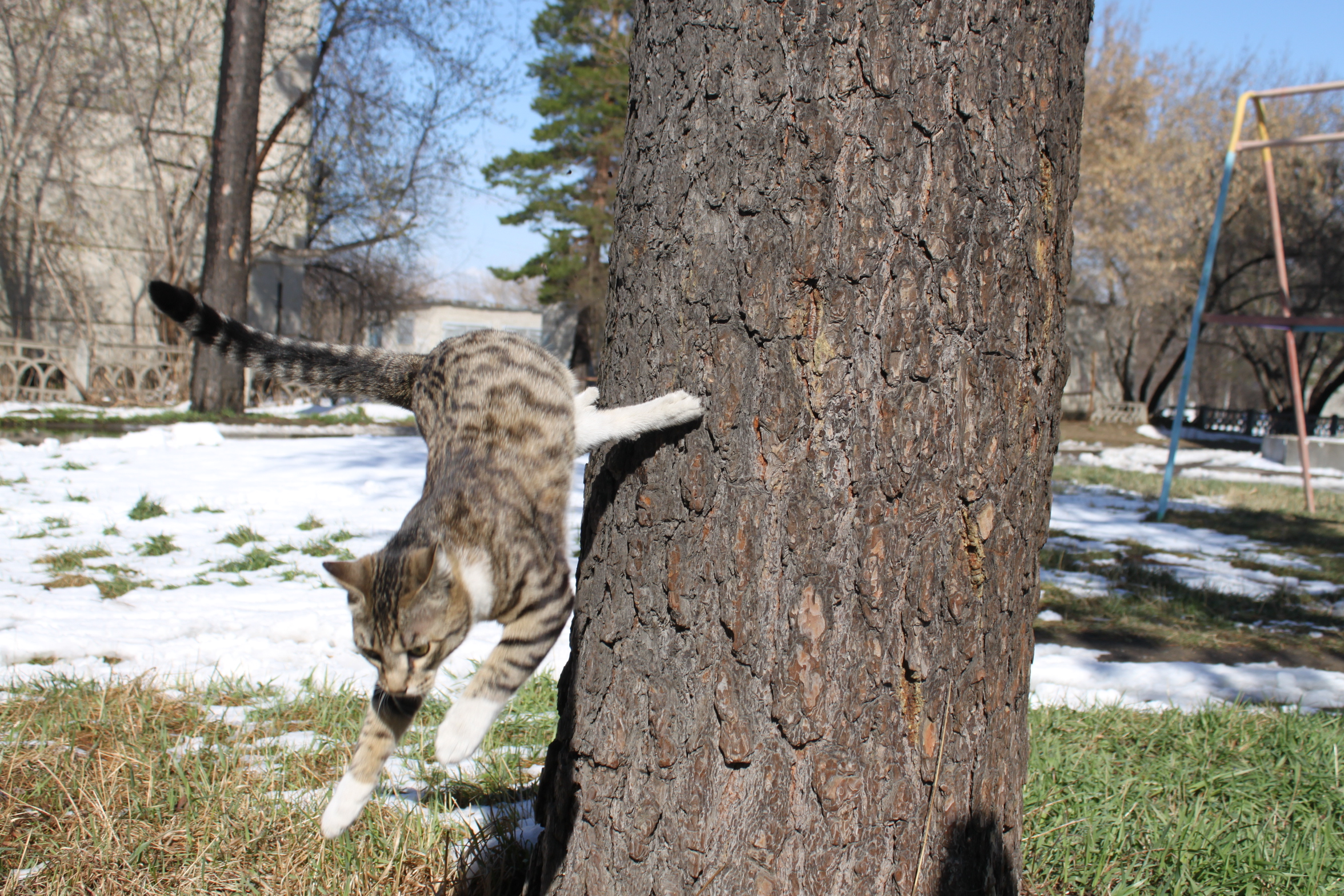 ни удержалсо и сорвалсо)))