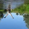 Img 9056 Img 9056