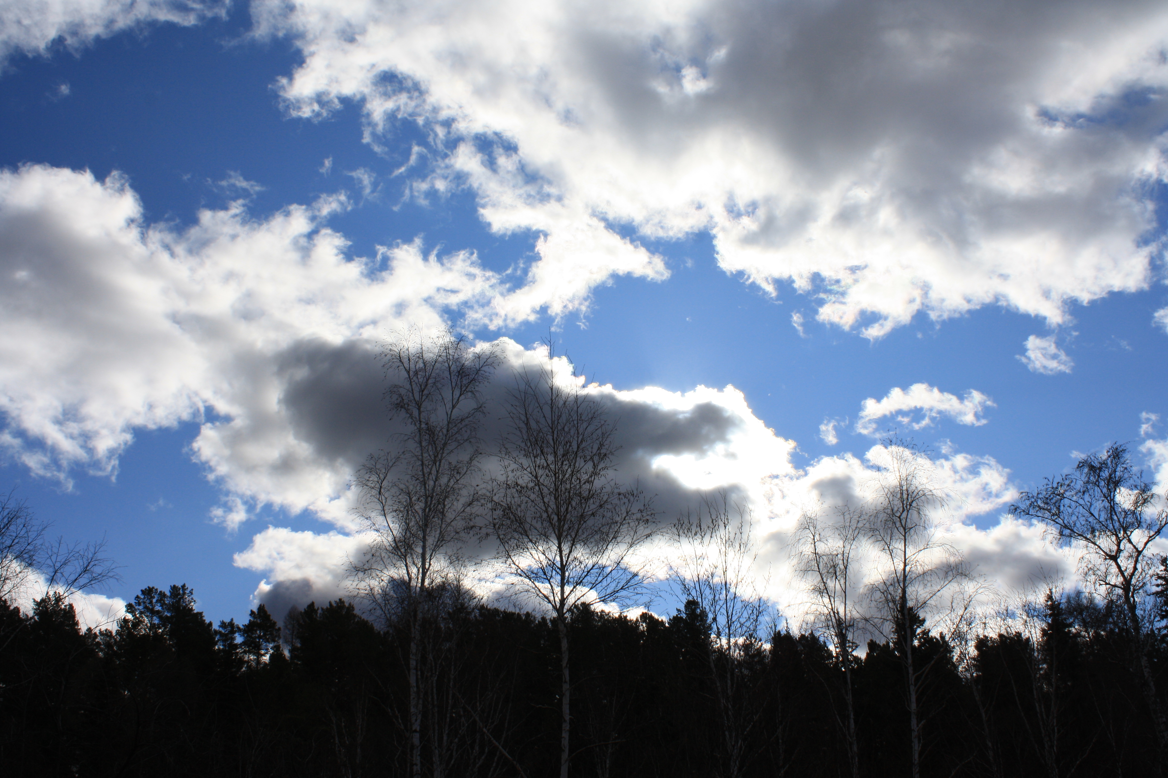 Солнце стесняется