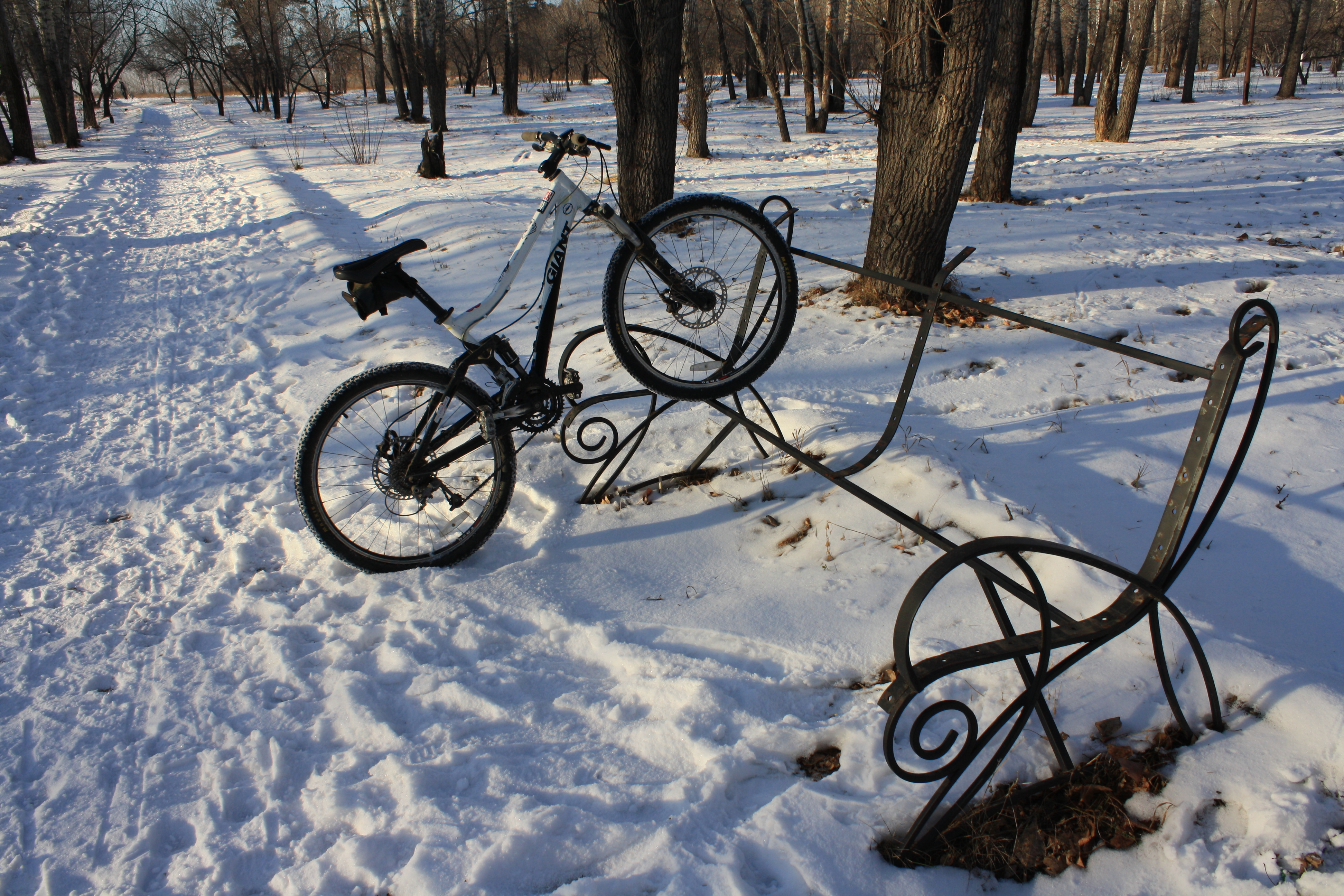 велопарковка в парке