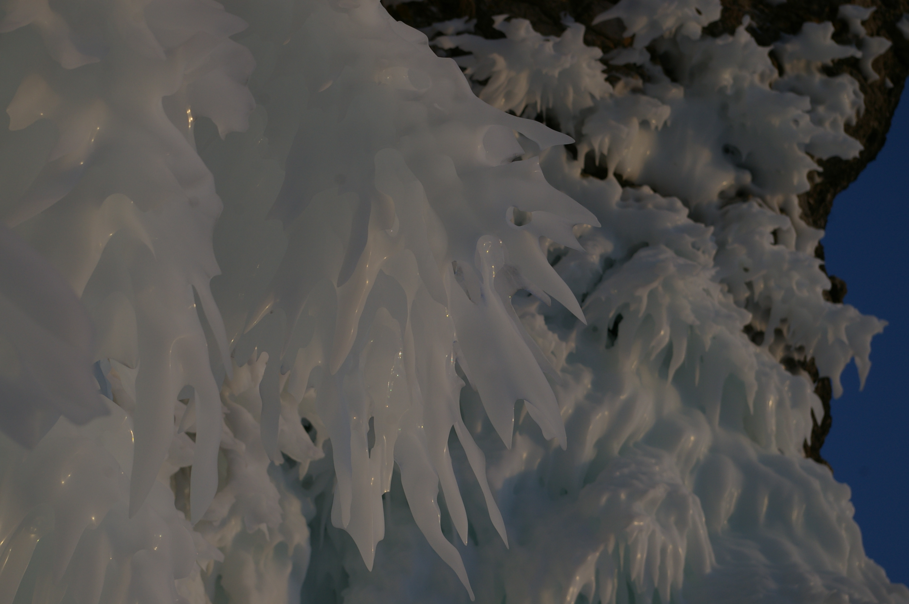 мечты Байкала