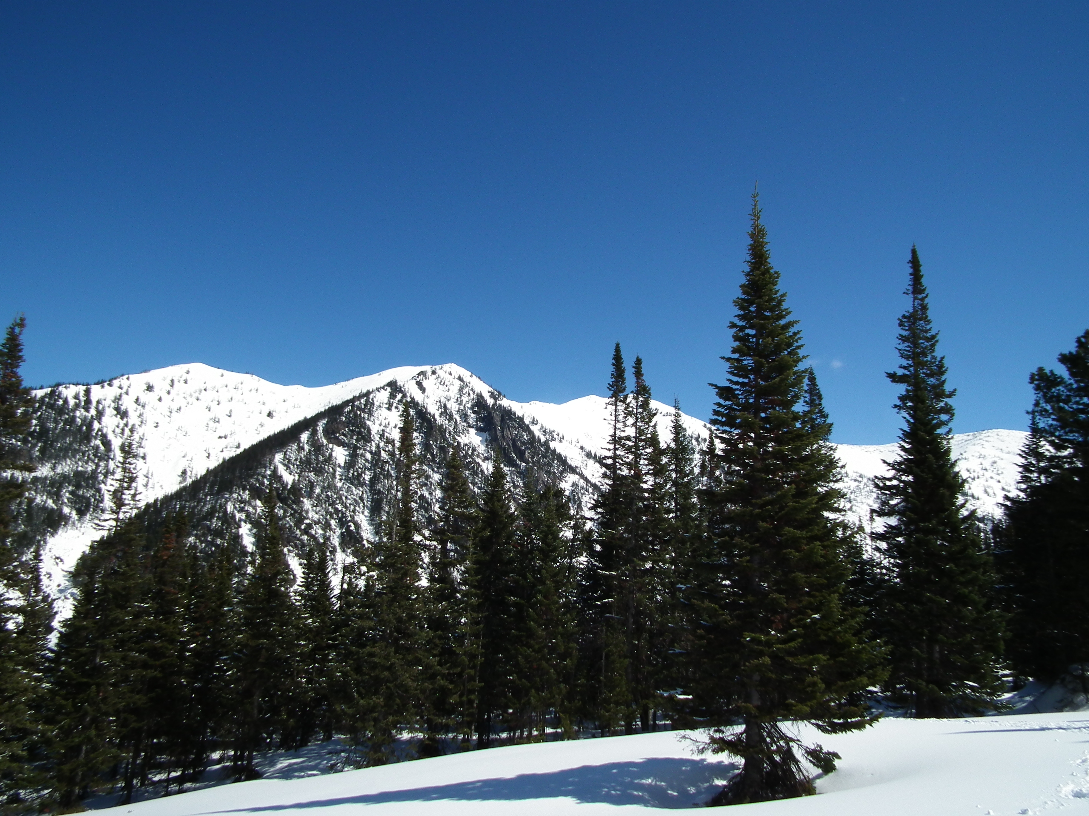 Мамай ё моё)))