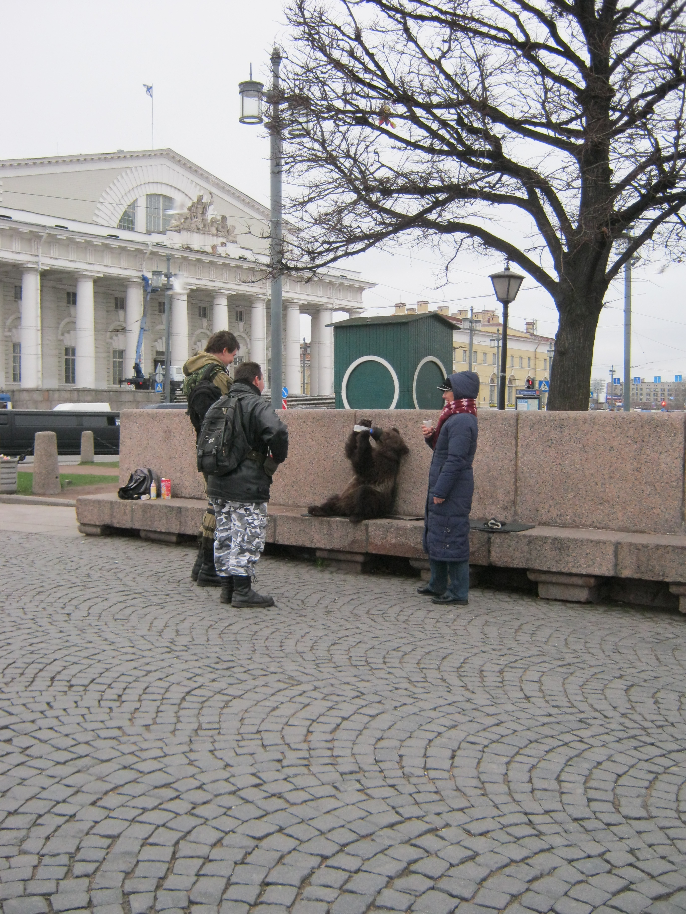 Питерский медведь