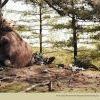 Jeep доставляет больше людей в самые отдалённые уголки