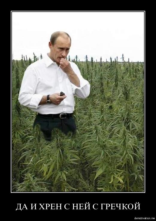 вот так и живем:)