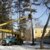 Доброму вору любая высота впору