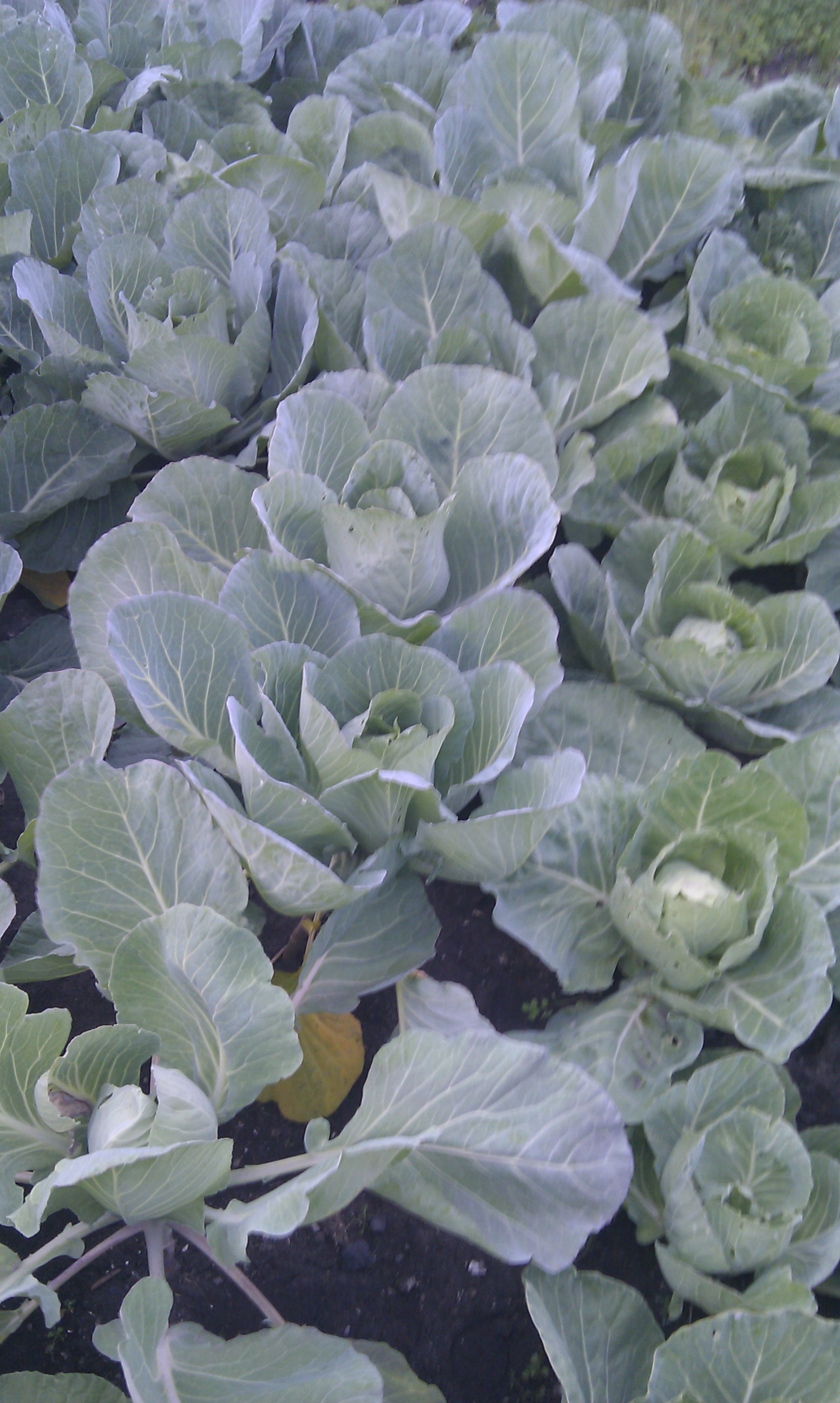 Кого вы здесь найдёте?))))))