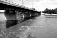 У старого моста китой поднялся больше чем на метр У старого моста китой поднялся больше чем на метр