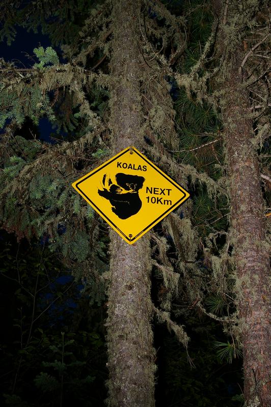 бойся медведей