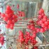DSCF0446 DSCF0446