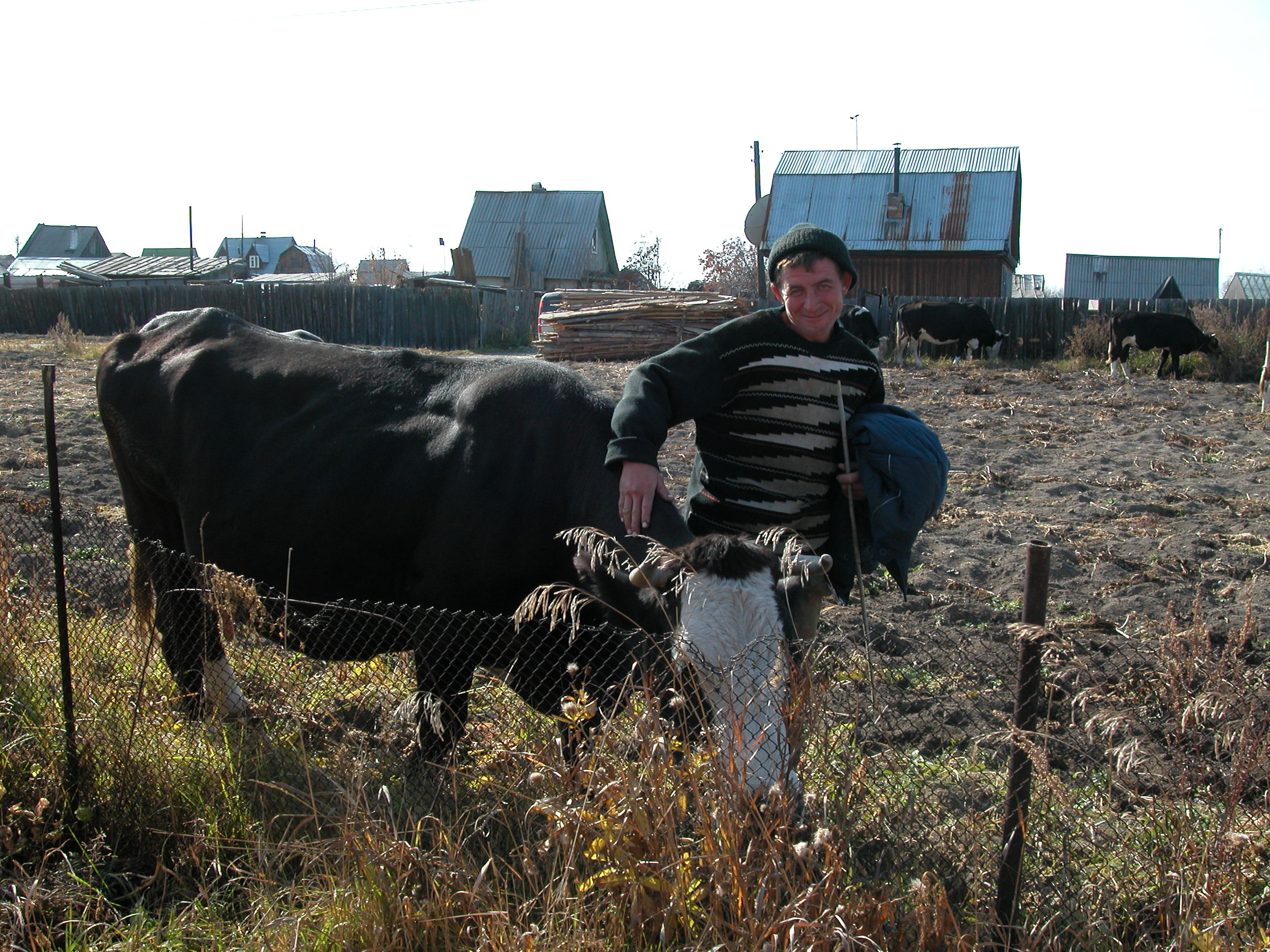 Пастушок попросил его сфотать с коровой.Корова, кстати,самая старая в стаде и зовут ее Апреля.
