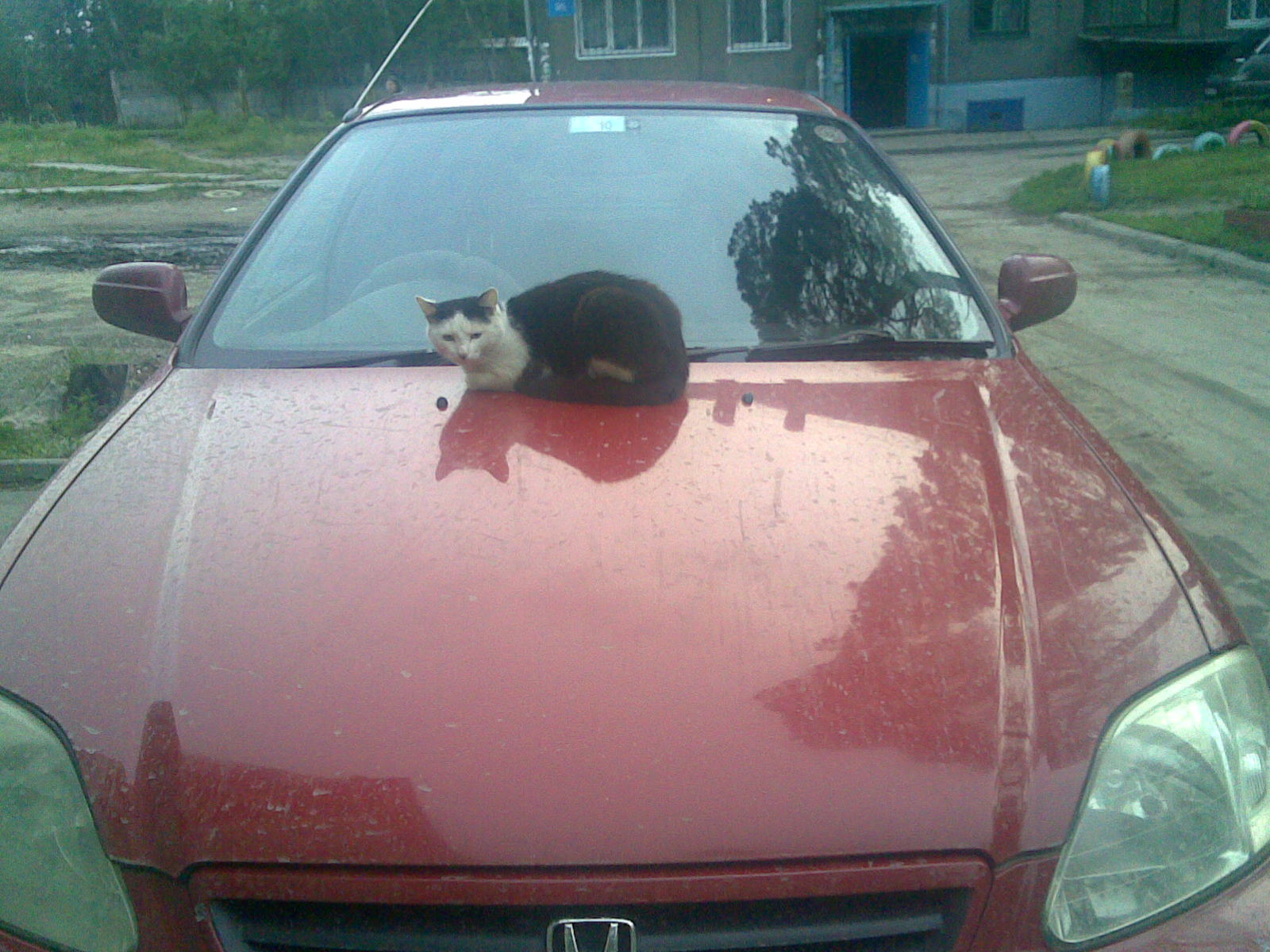 Каждый ищет где лучше...