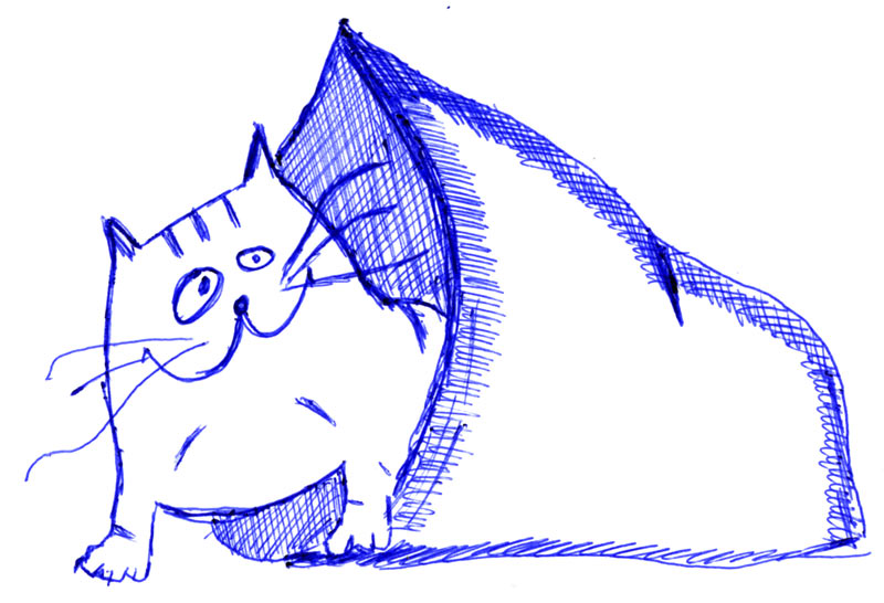 Кот в мешке