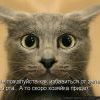 Помогите.. Помогите..