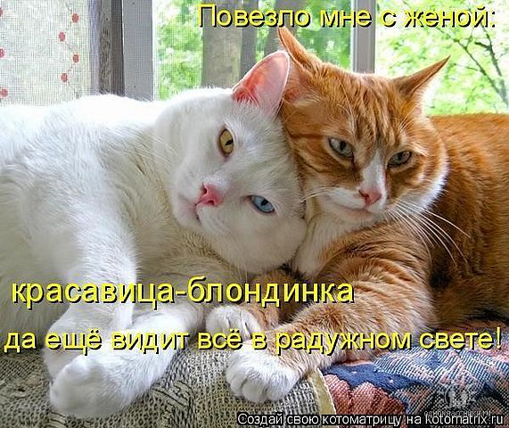 Всегда вместе!