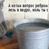 котам разнообразным посвящается котам разнообразным посвящается