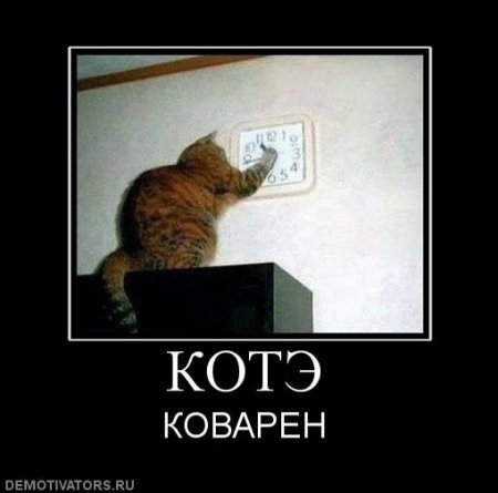 Kote kovaren