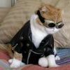 кастюмчик