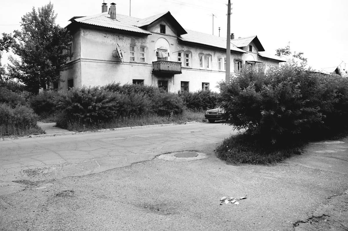 Кусты на улице Матросова уже давно в человеческий рост