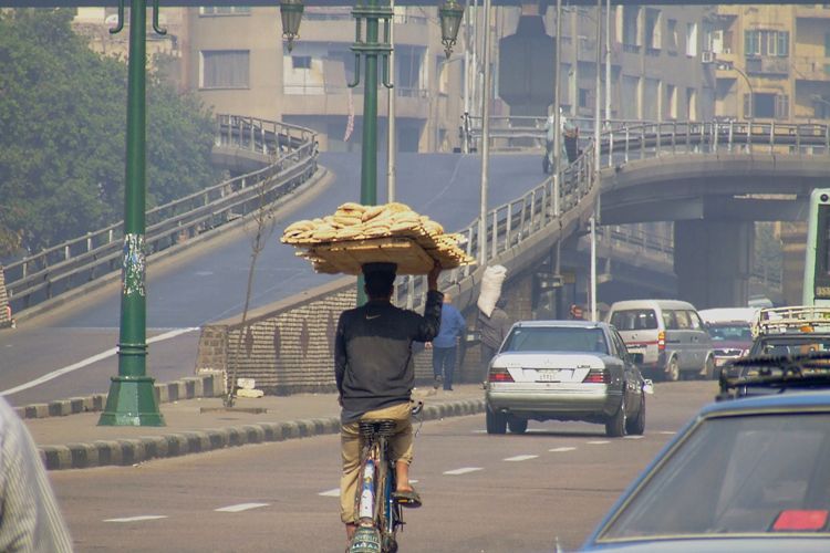 египетский велосипедист египетский велосипедист