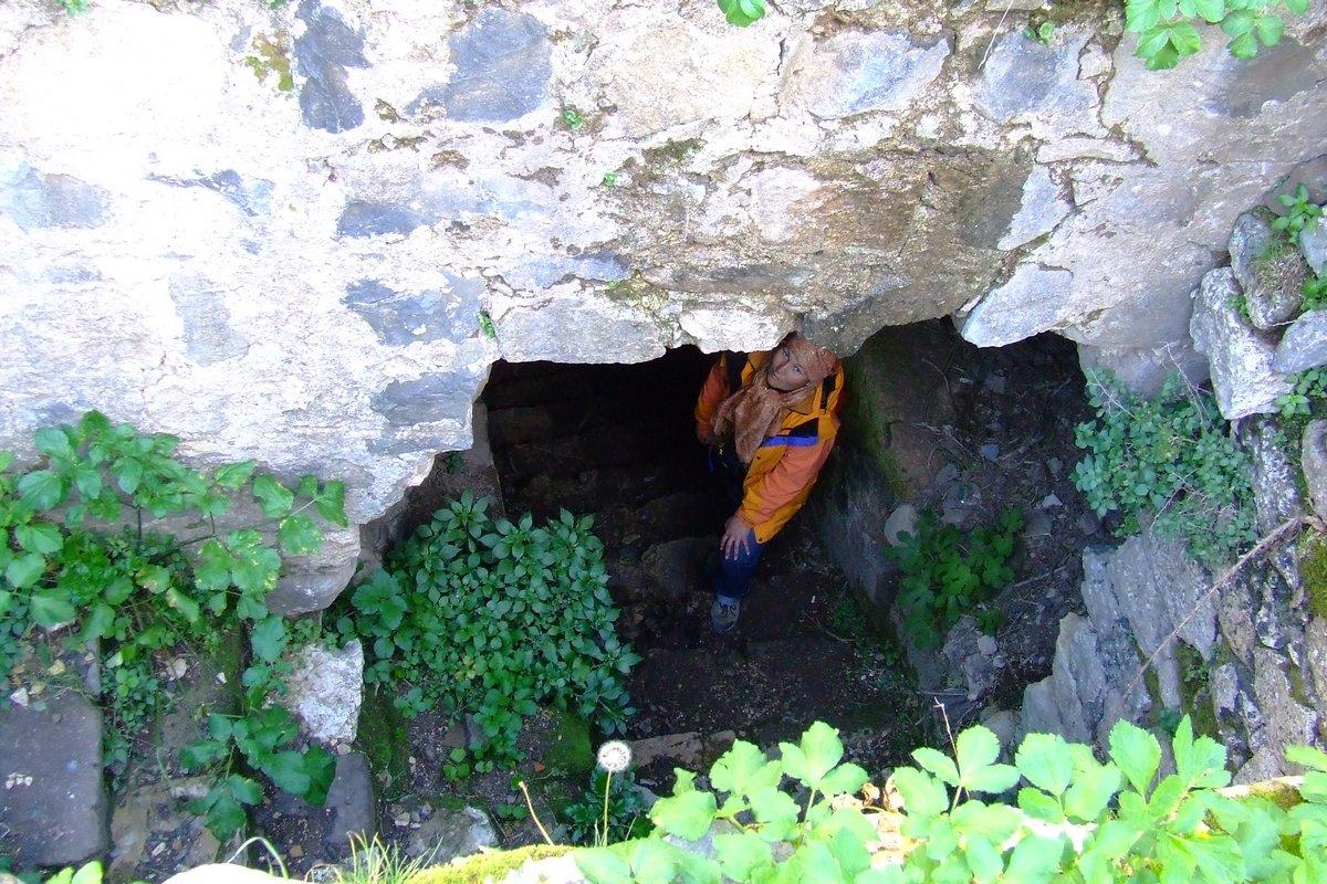 подвальчик темный, мхом поросший