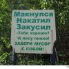 лесу плохо